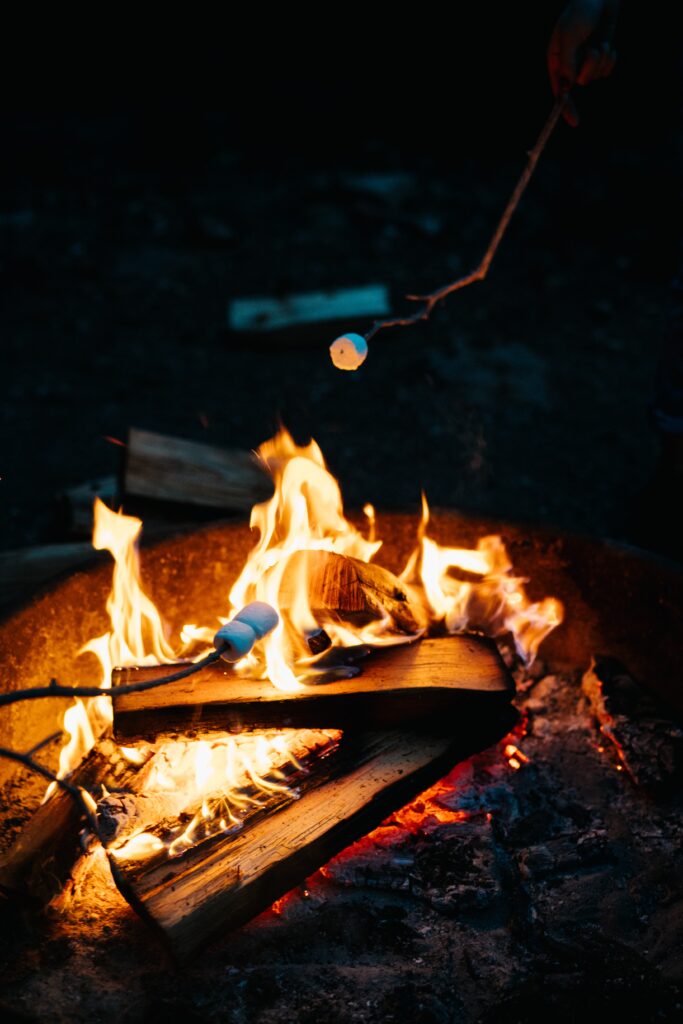 toasting-marshmallows-on-a-campfire